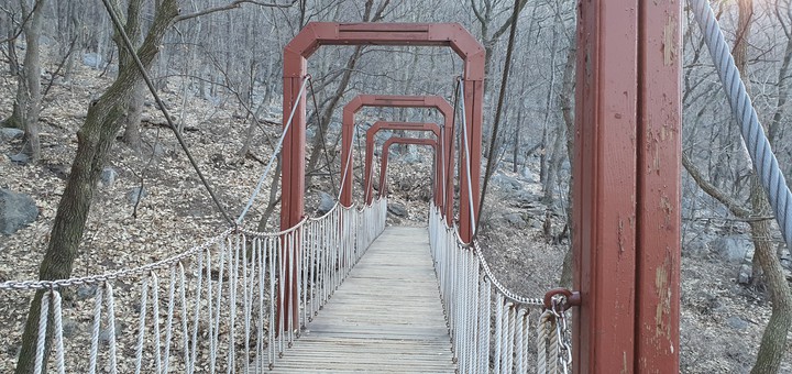 다리