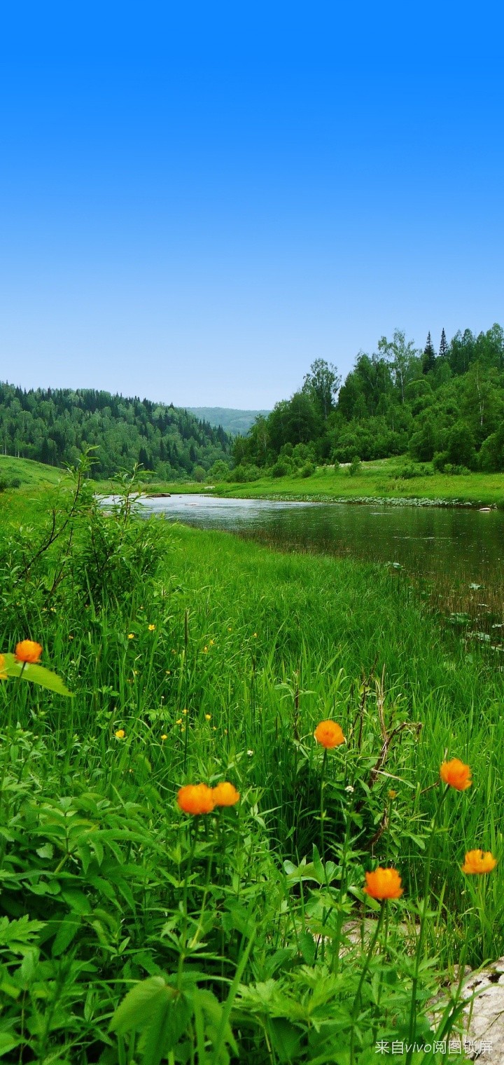 Nature Love