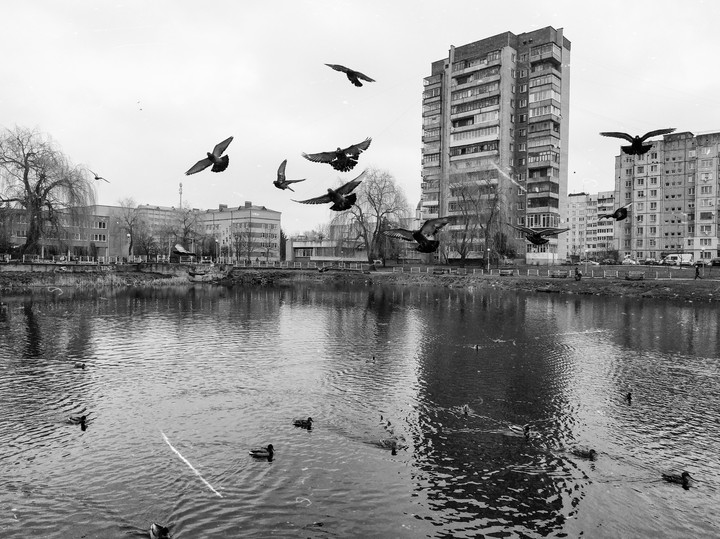 city