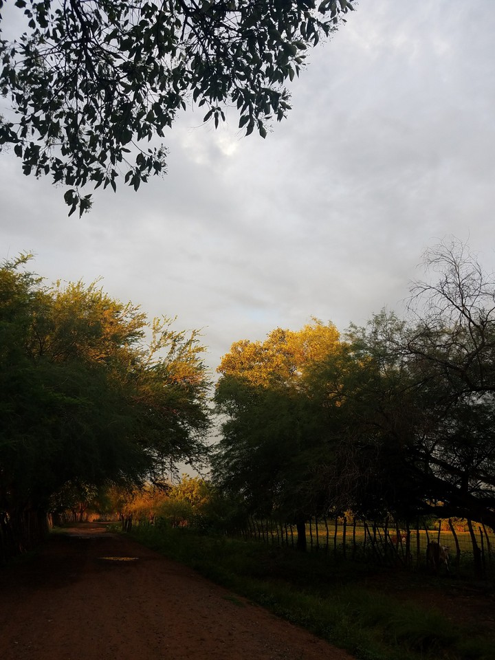Se acerca el Otoño...