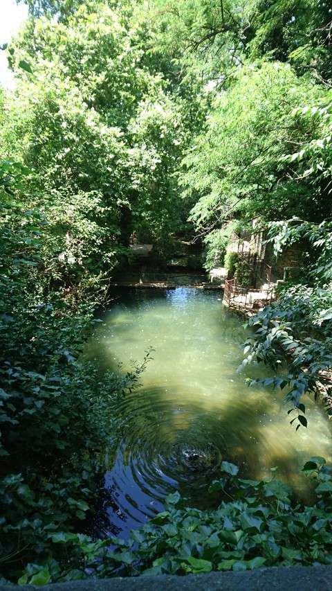 Doğa