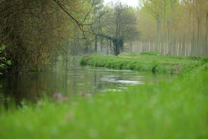 pond