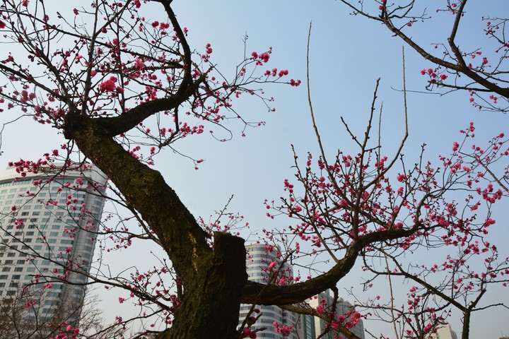 풍경이미지