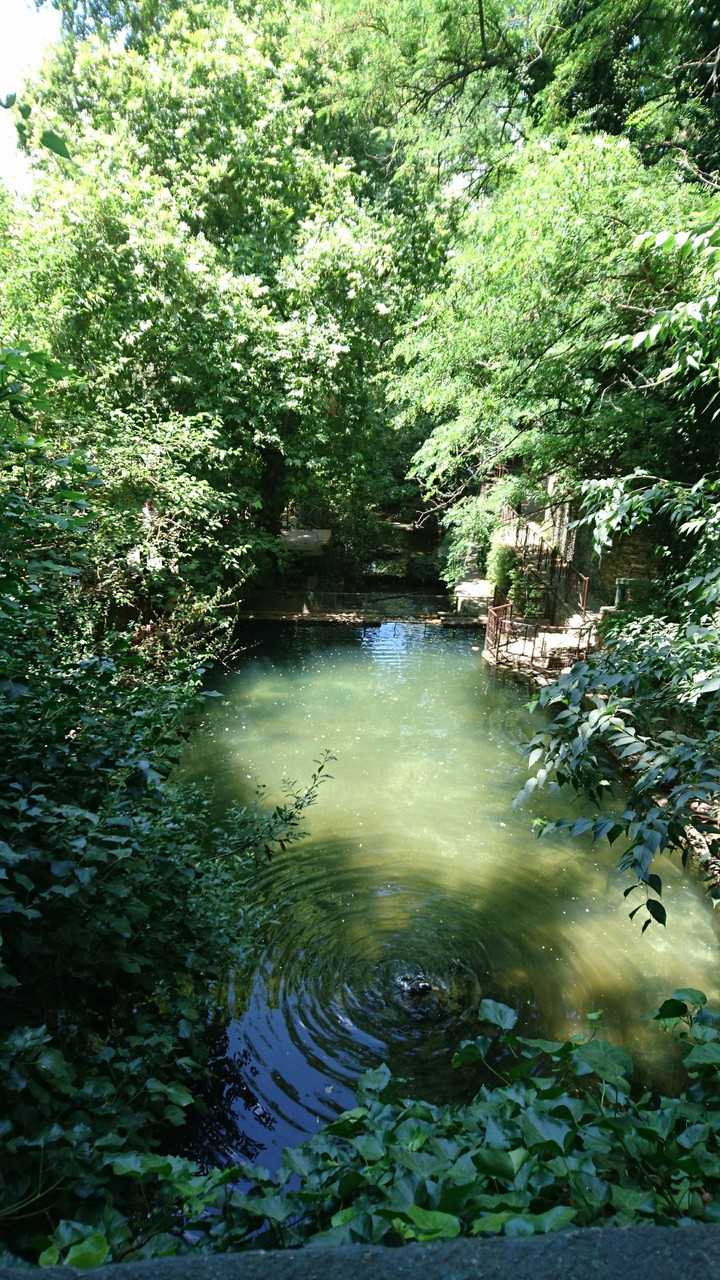 Doğa