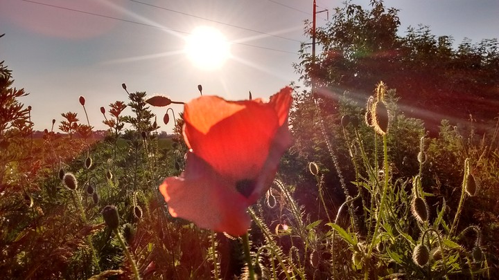 #Україна #літо #summer #краса