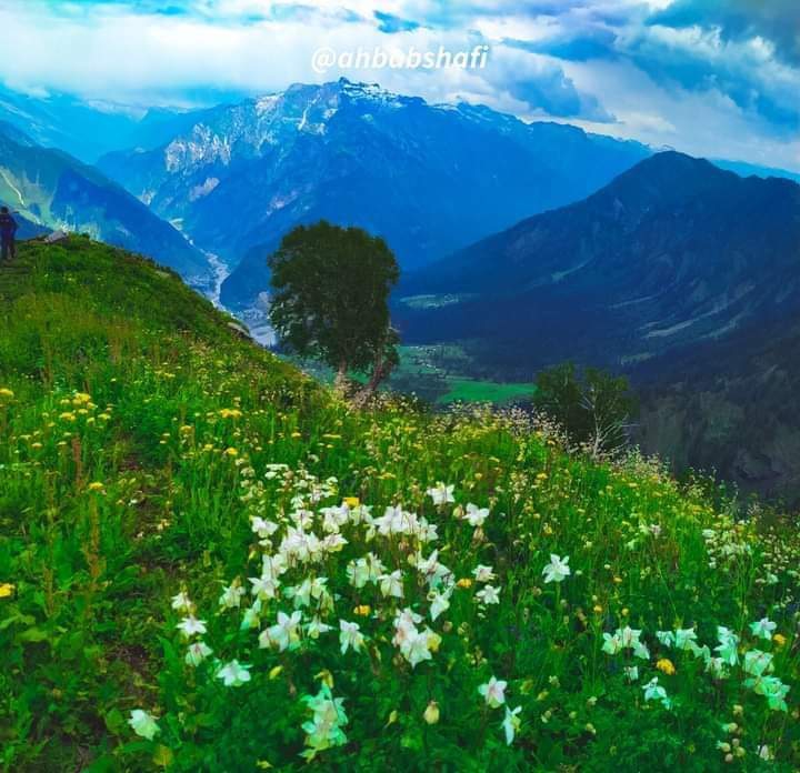 Pakistan