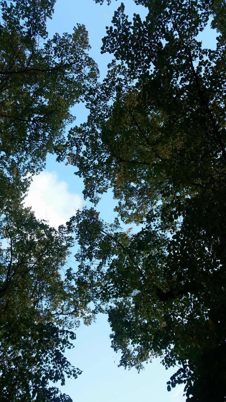 sky