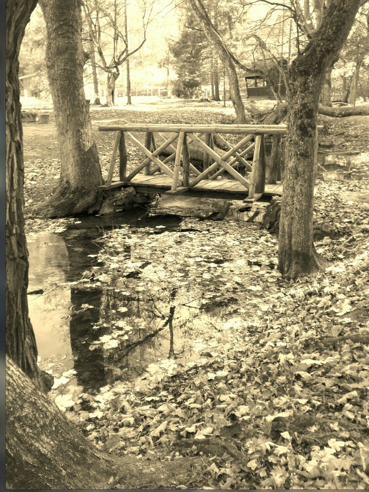 Bridge❤