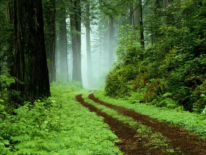 iran_gilan