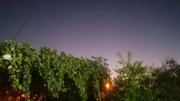 In the evening