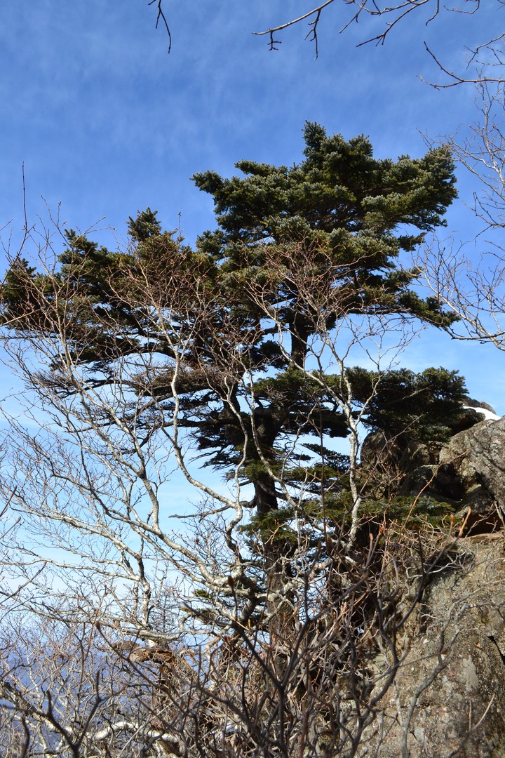 지리산이미지