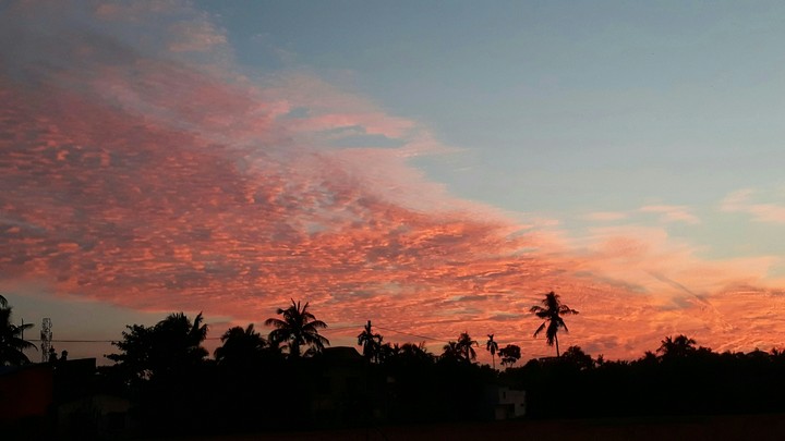 wonderful