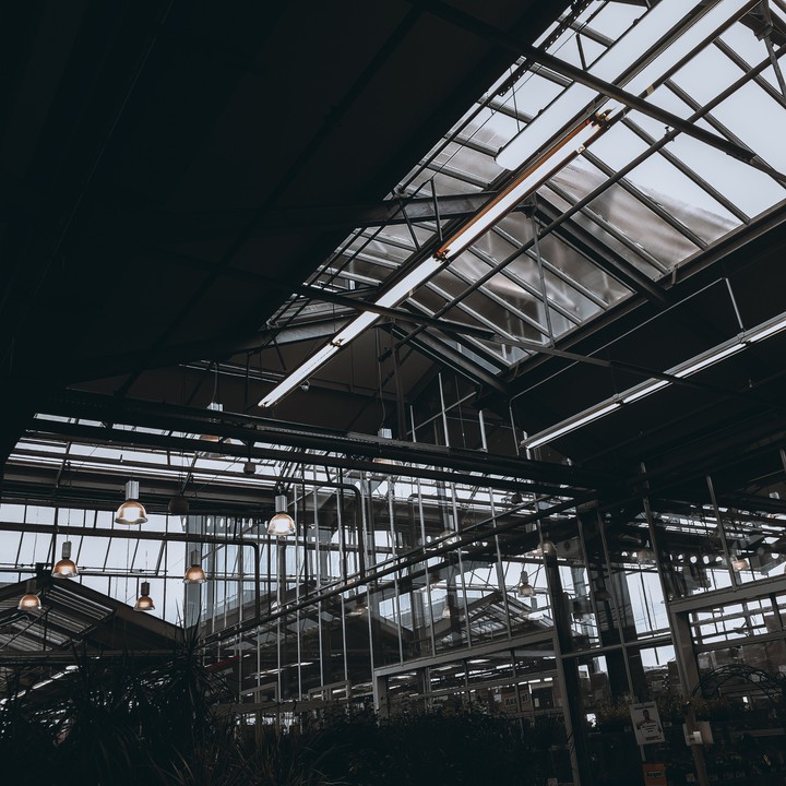 lines