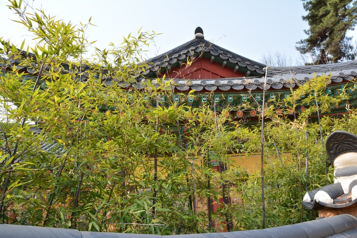 풍경이미지