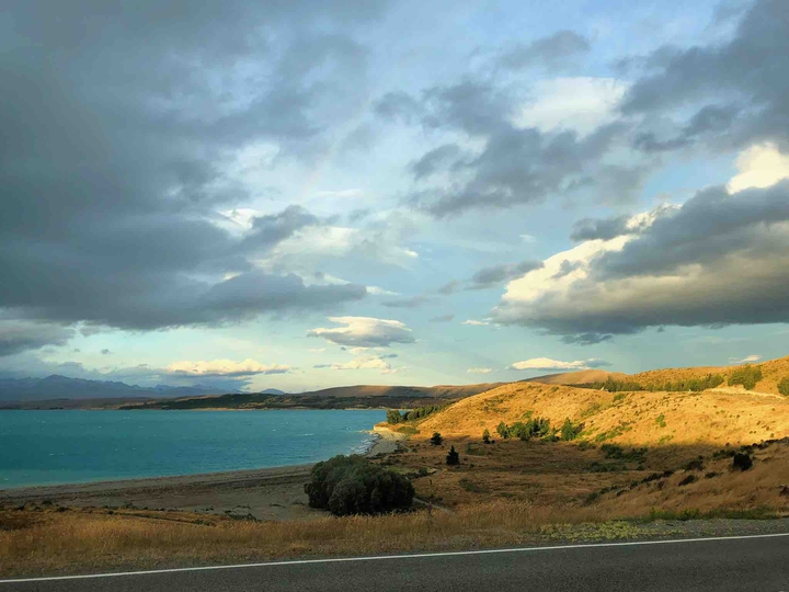 newzealand