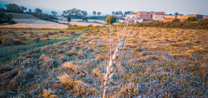 Village