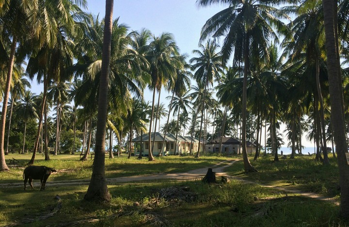 Rural view of Koh Samui