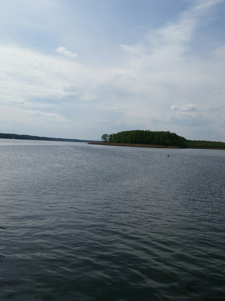 sława