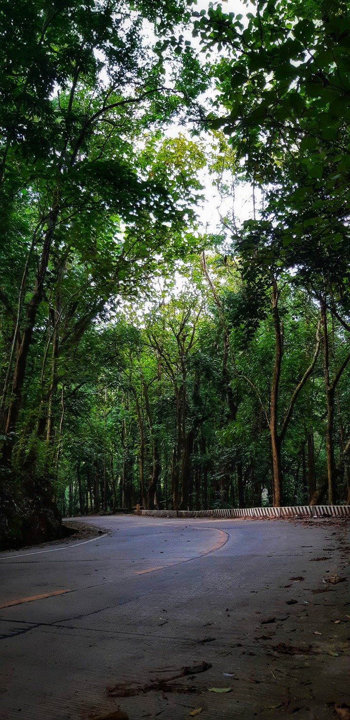 Road