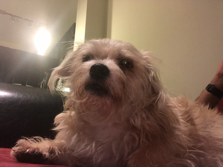 Maggie 2