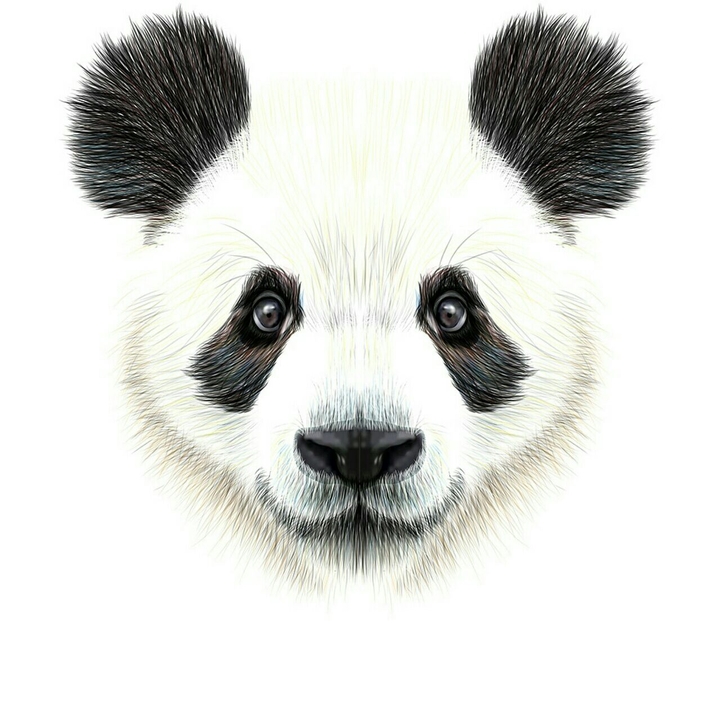 Pandapong