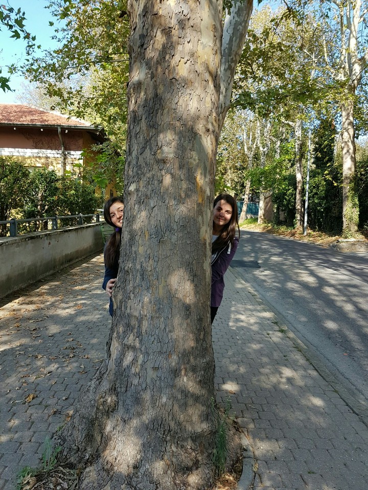 my friends