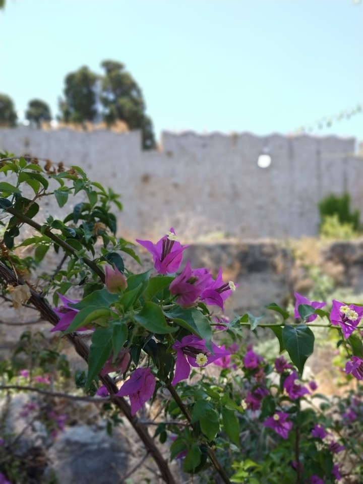 rhodos stadt