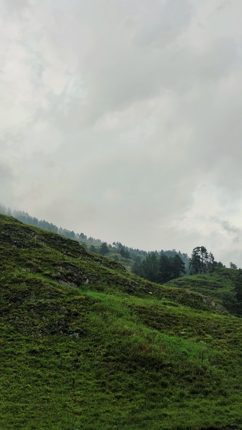 Altay nature