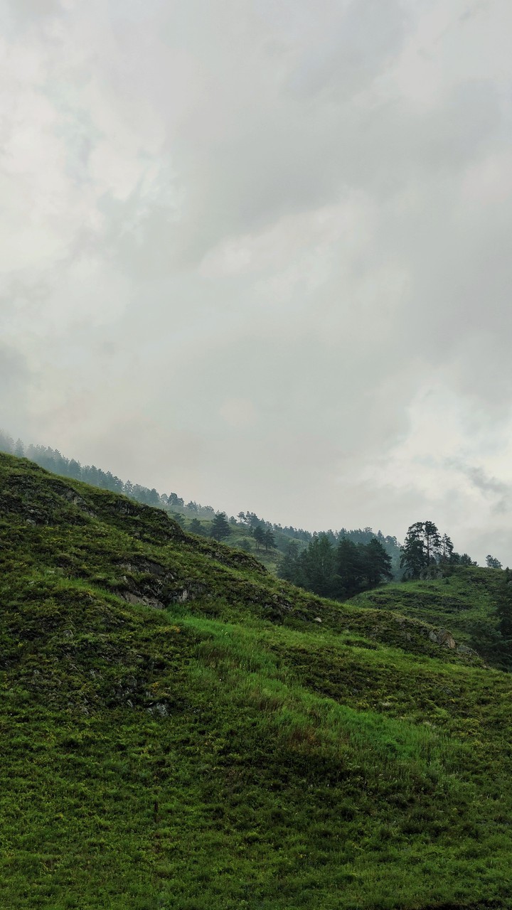 Altay nature