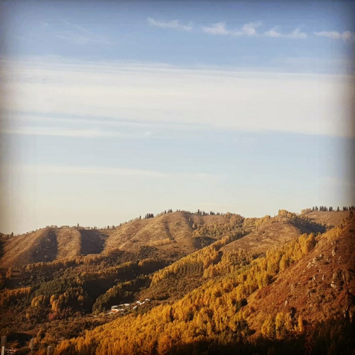 Autumn ?