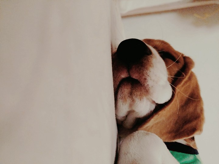 sleepy