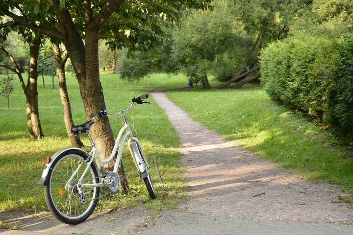 Morning in the park
