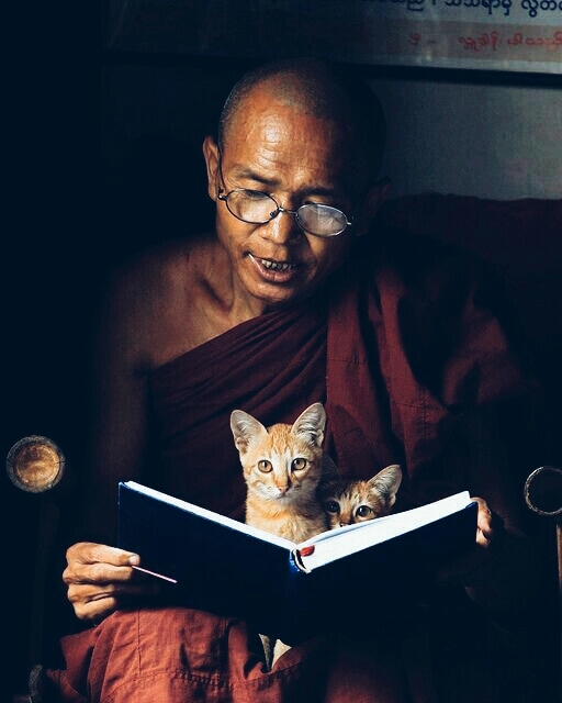 the way to wisdom