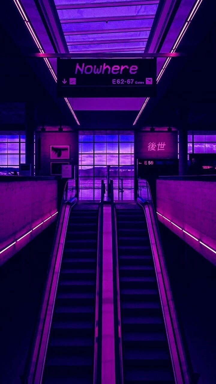 purple midnight