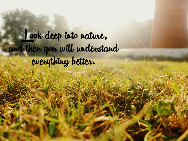 Quote