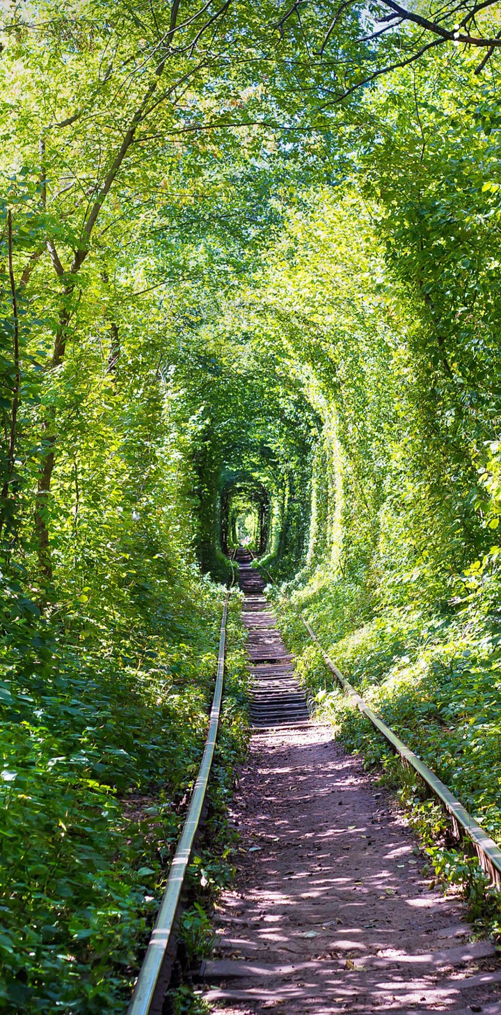 дорога в никуда