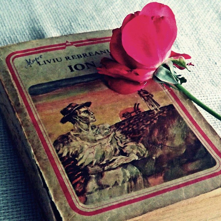 Book