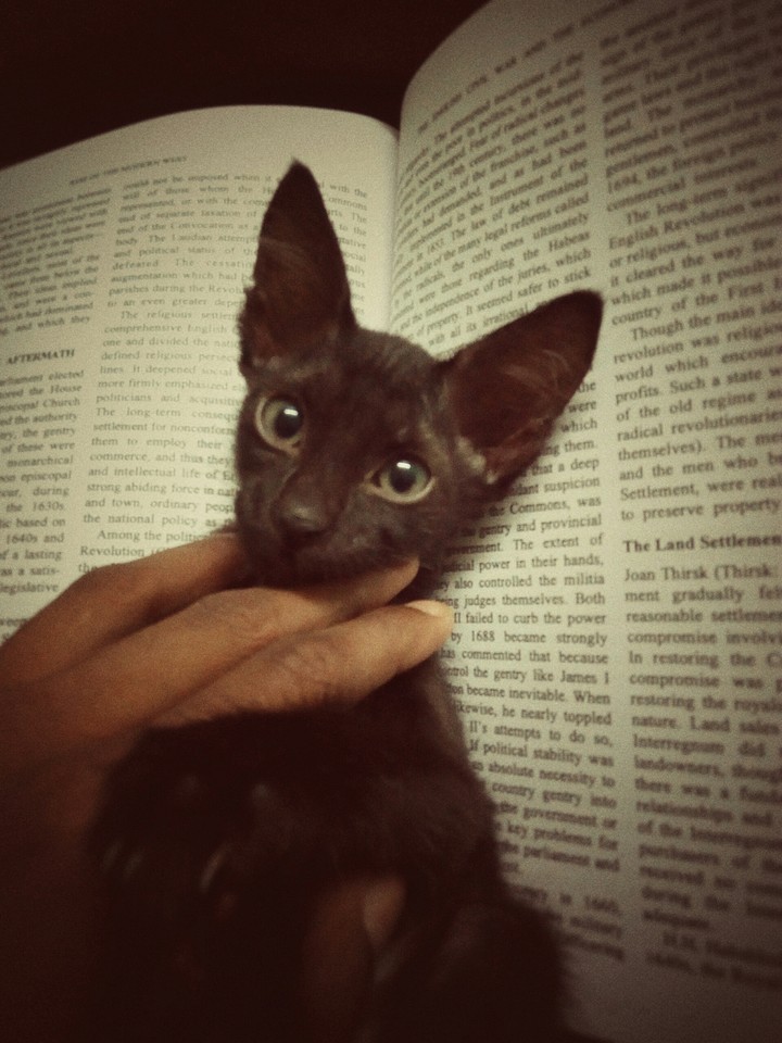 Innocence is Brilliant