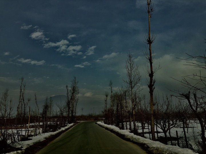 kashmir