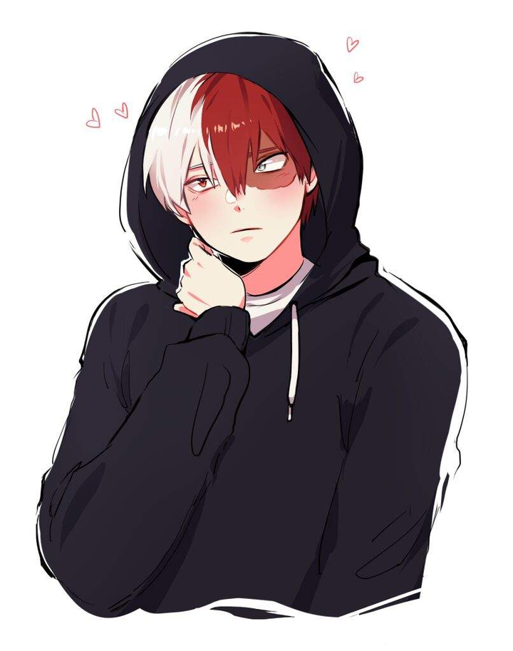 Todoroki Shoto?