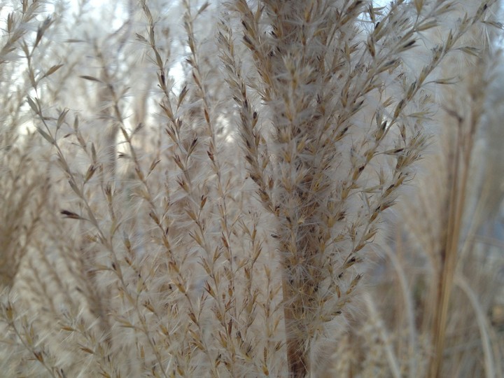 Loose Strands