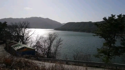평온한 강