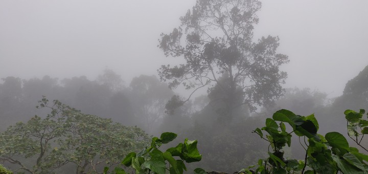 rain