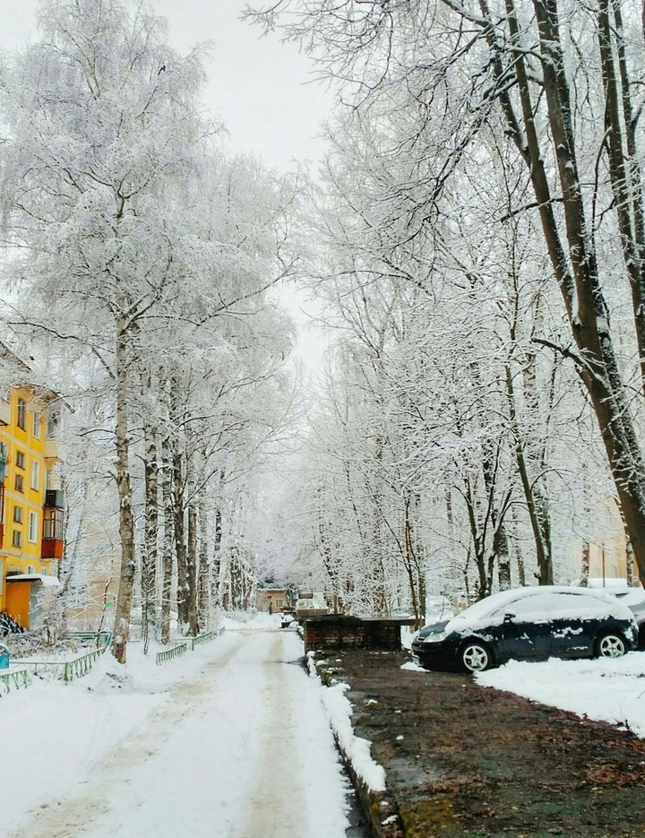 снег