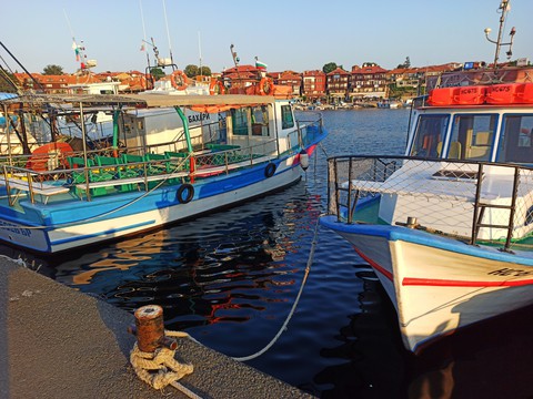 boats