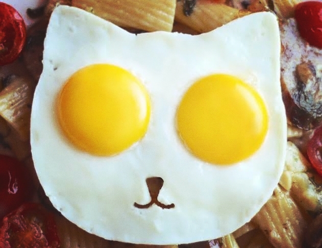 Cattish ? sunny side up !!