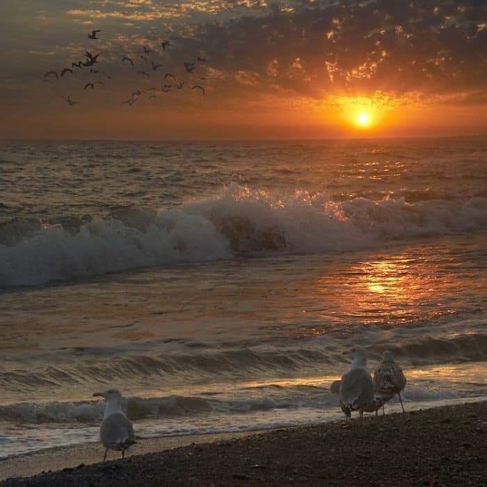 Beach ?❤