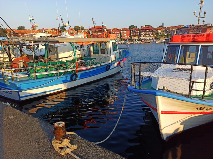 boats