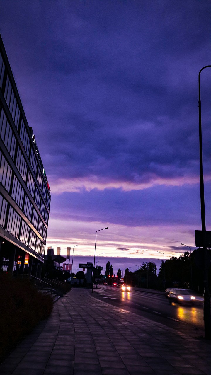 Purple is my favourite colour