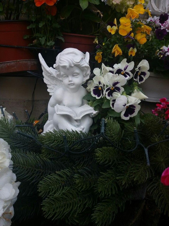 Ангел
